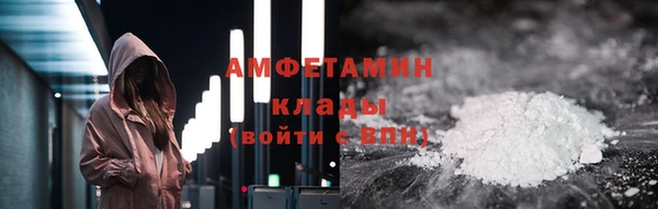 прущие грибы Богородицк