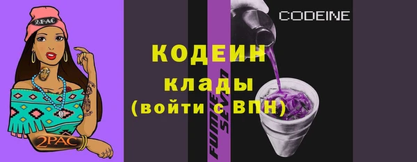 прущие грибы Богородицк