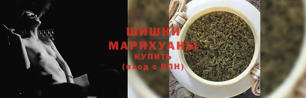прущие грибы Богородицк