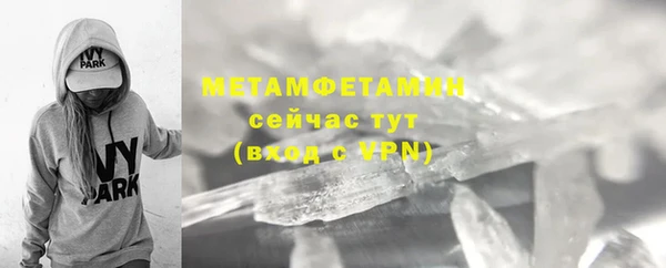 прущие грибы Богородицк