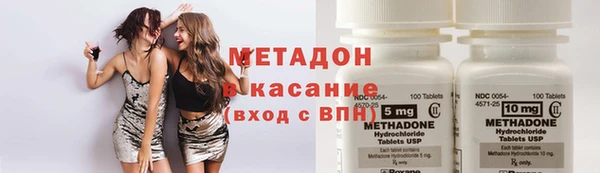прущие грибы Богородицк