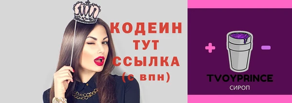 прущие грибы Богородицк