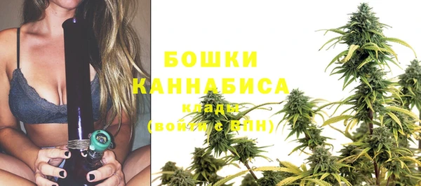 эйфоретик Богданович