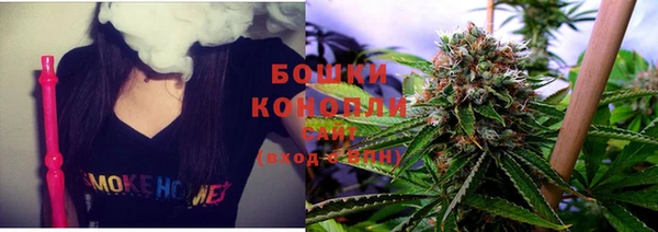 эйфоретик Богданович